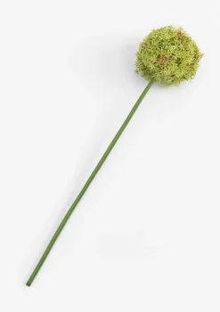 COCOmaison Kunstbloemen En -Planten>Allium spray kunstbloem H90cm - Groen