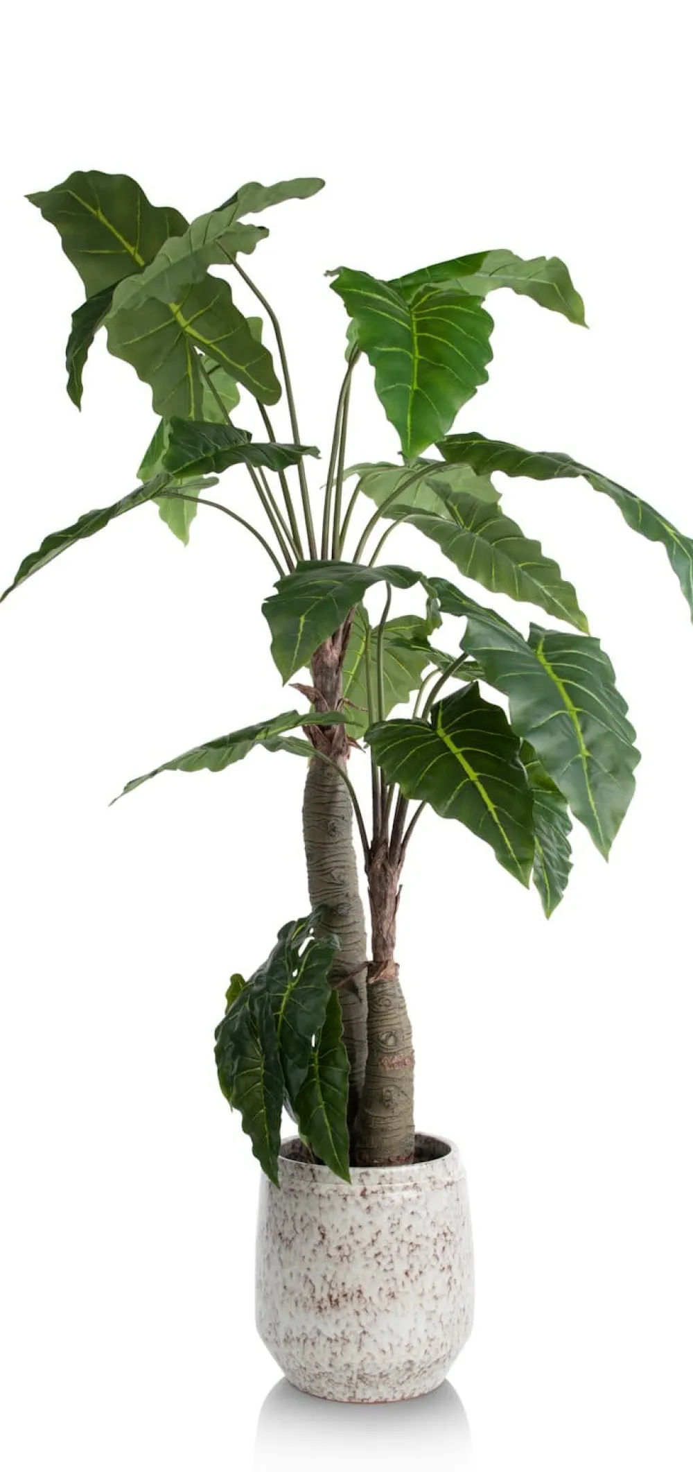 COCOmaison Kunstbloemen En -Planten>Alocasia Giant Tree H180cm kunstplant - Groen