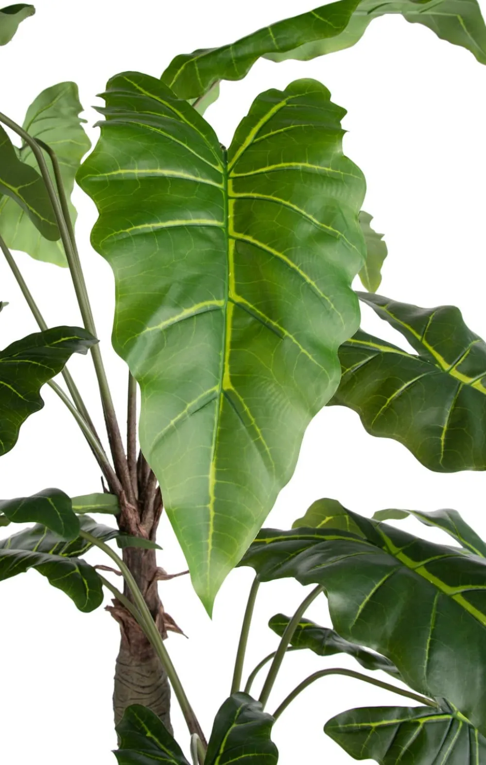 COCOmaison Kunstbloemen En -Planten>Alocasia Giant Tree H180cm kunstplant - Groen
