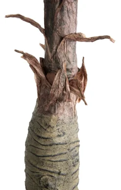 COCOmaison Kunstbloemen En -Planten>Alocasia Giant Tree H180cm kunstplant - Groen