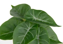 COCOmaison Kunstbloemen En -Planten>Anthurium Mini Bush H13cm kunstbloem - Groen