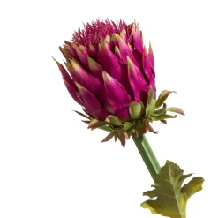 COCOmaison Kunstbloemen En -Planten>Artichoke Stem H80cm - Roze