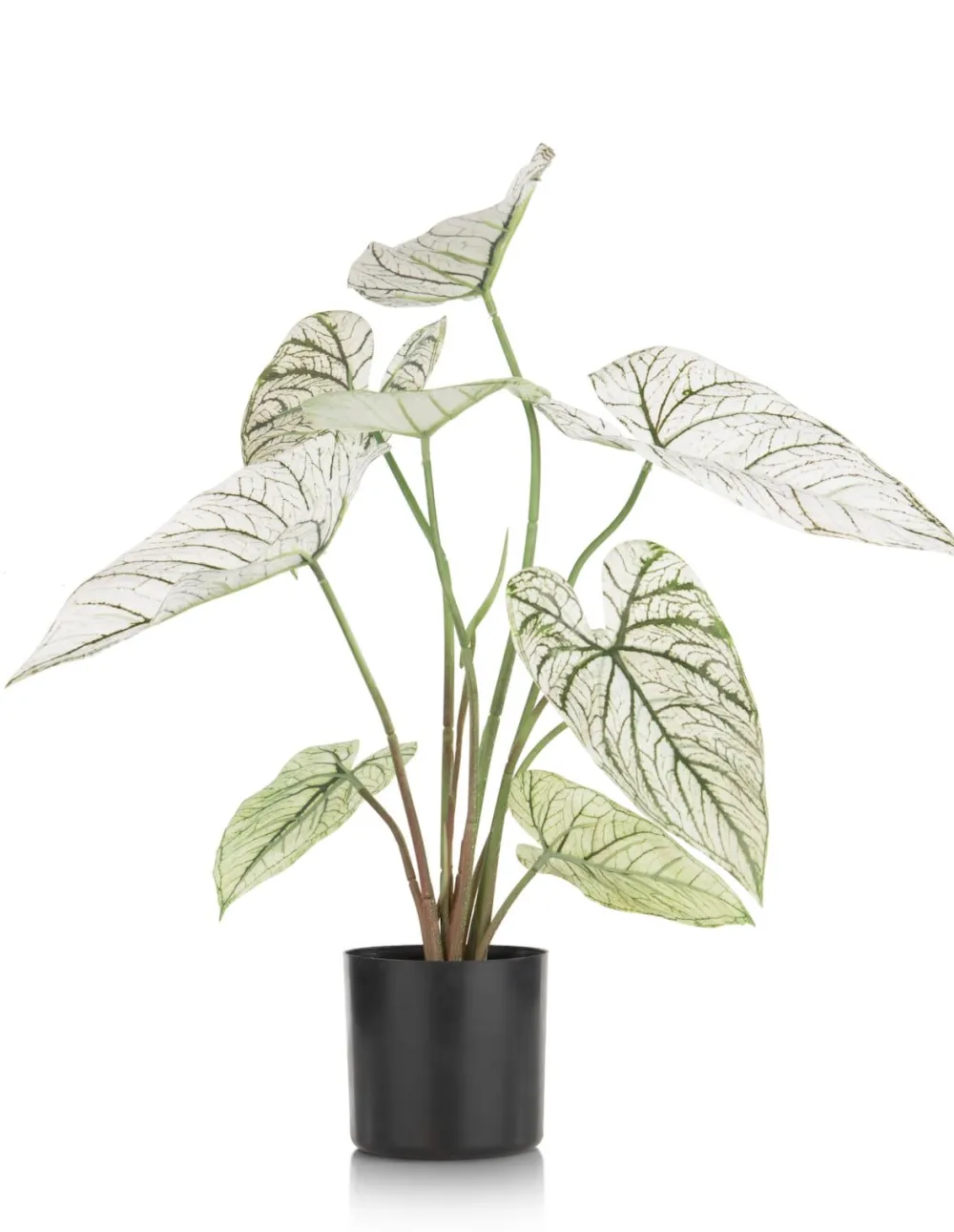 COCOmaison Kunstbloemen En -Planten>Caladium H60cm kunstplant - Groen