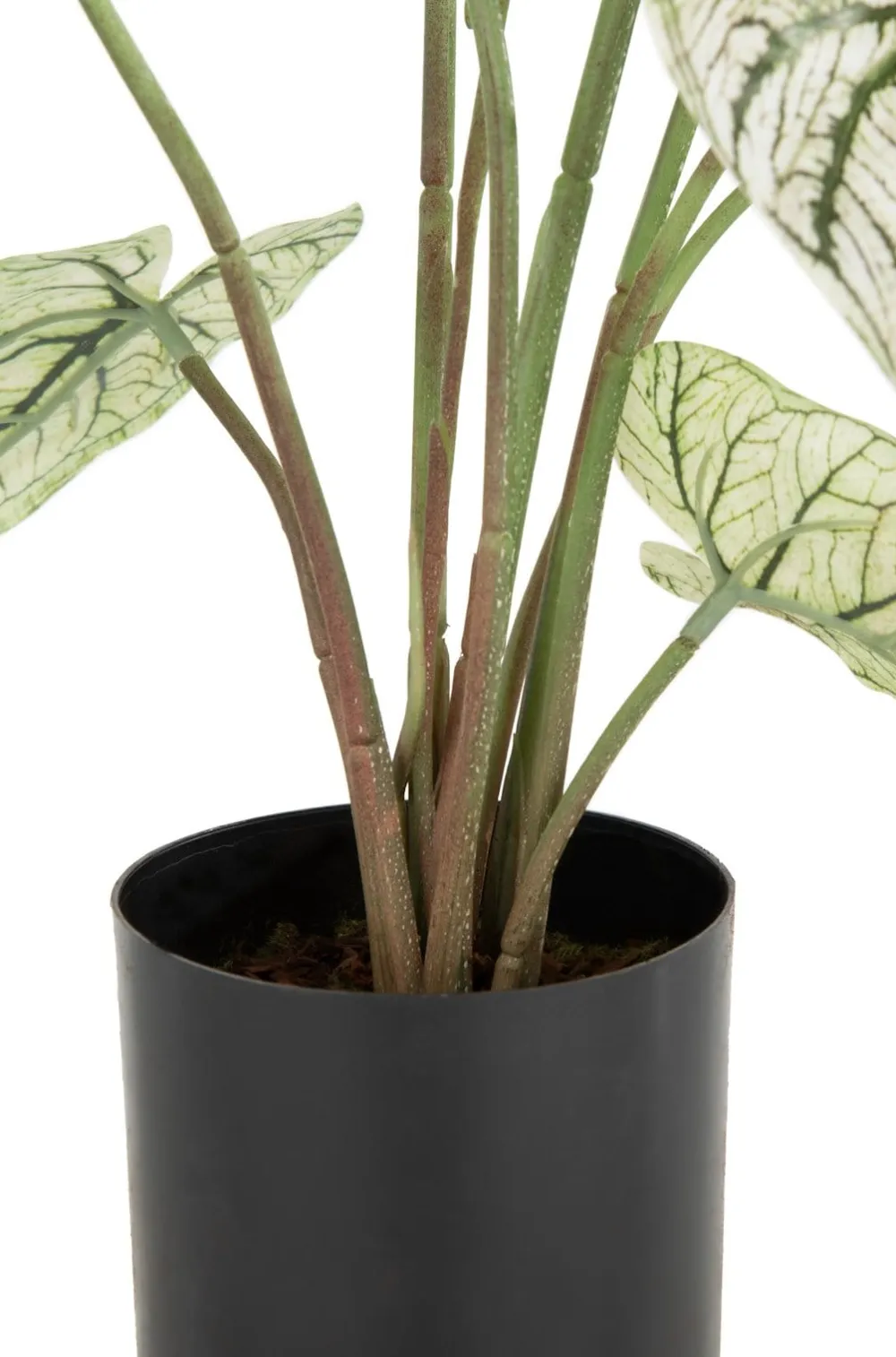 COCOmaison Kunstbloemen En -Planten>Caladium H60cm kunstplant - Groen