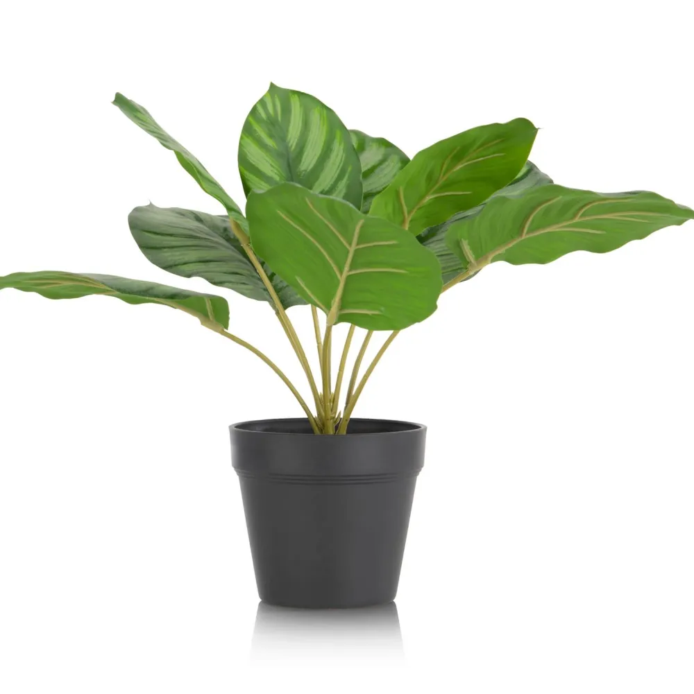 COCOmaison Kunstbloemen En -Planten>Calathea Orbifolia H45cm kunstplant - Groen