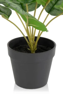 COCOmaison Kunstbloemen En -Planten>Calathea Orbifolia H45cm kunstplant - Groen