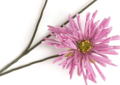 COCOmaison Kunstbloemen En -Planten>Dahlia Spider Spray kunstbloem H75cm - Paars