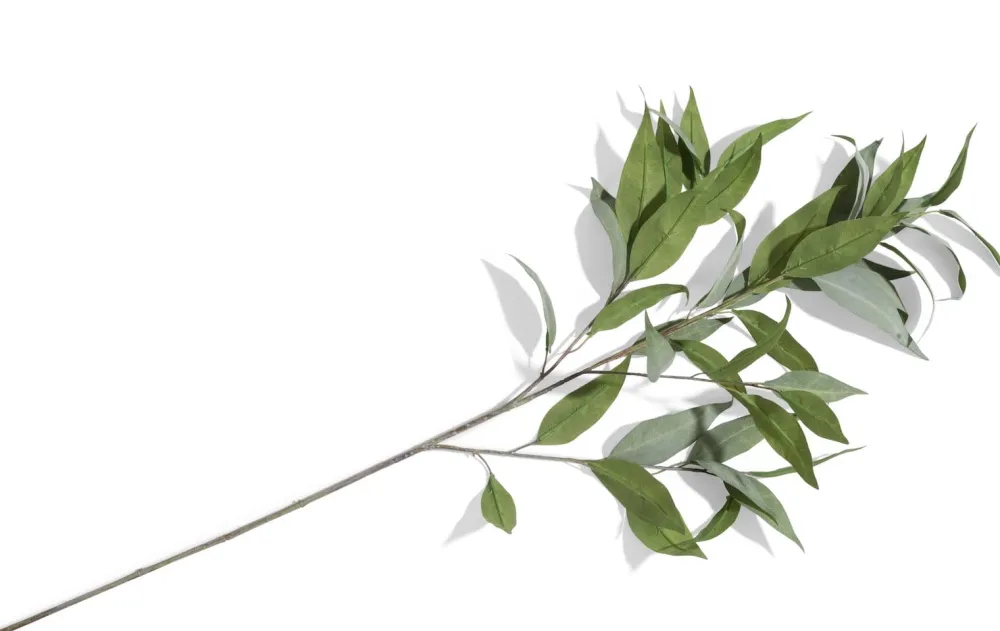 COCOmaison Kunstbloemen En -Planten>Eucalypthus Spray H93cm - Groen