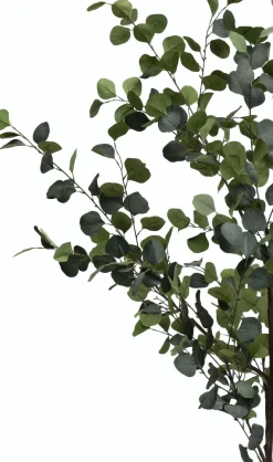 COCOmaison Kunstbloemen En -Planten>Eucalyptus Tree kunstplant H180cm - Groen