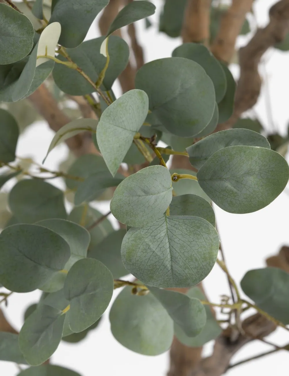 COCOmaison Kunstbloemen En -Planten>Eucalyptus Tree kunstplant H240cm - Groen