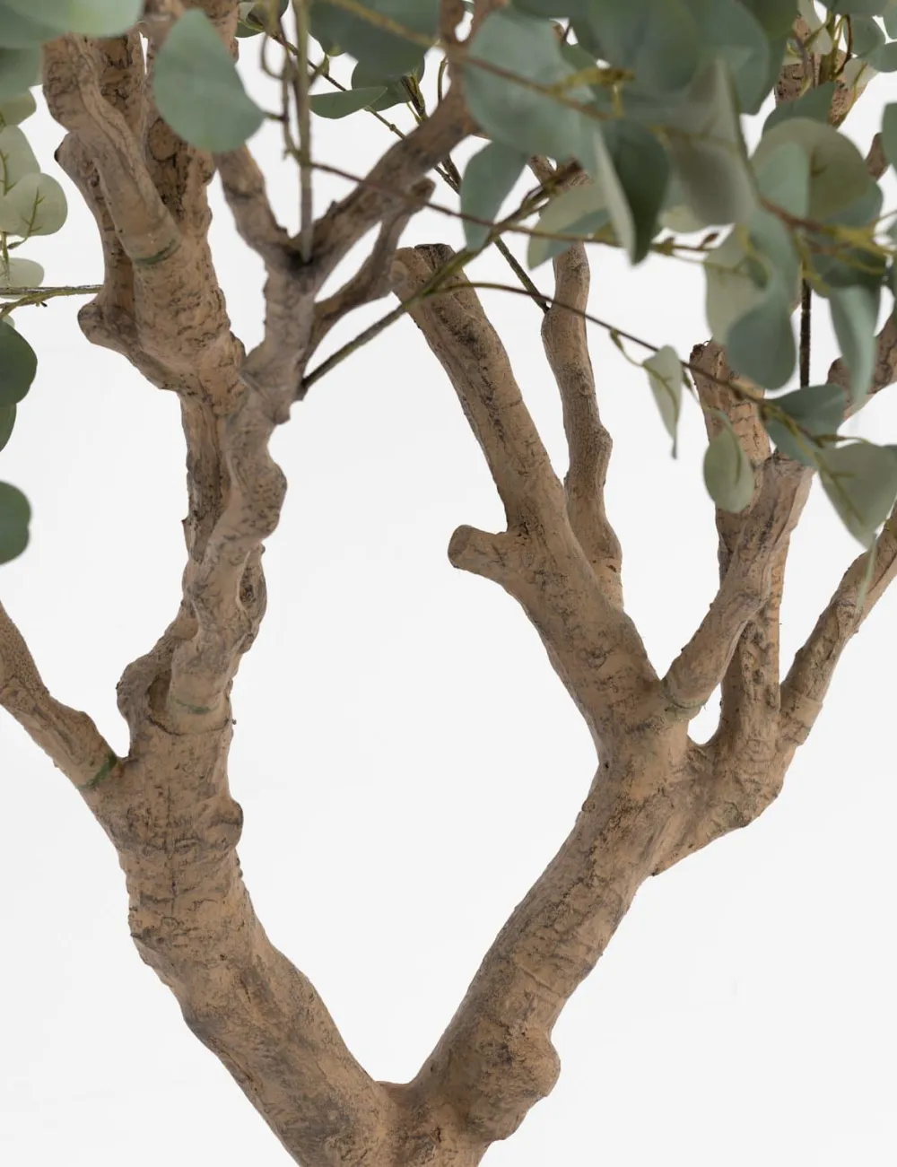 COCOmaison Kunstbloemen En -Planten>Eucalyptus Tree kunstplant H240cm - Groen