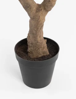 COCOmaison Kunstbloemen En -Planten>Eucalyptus Tree kunstplant H240cm - Groen