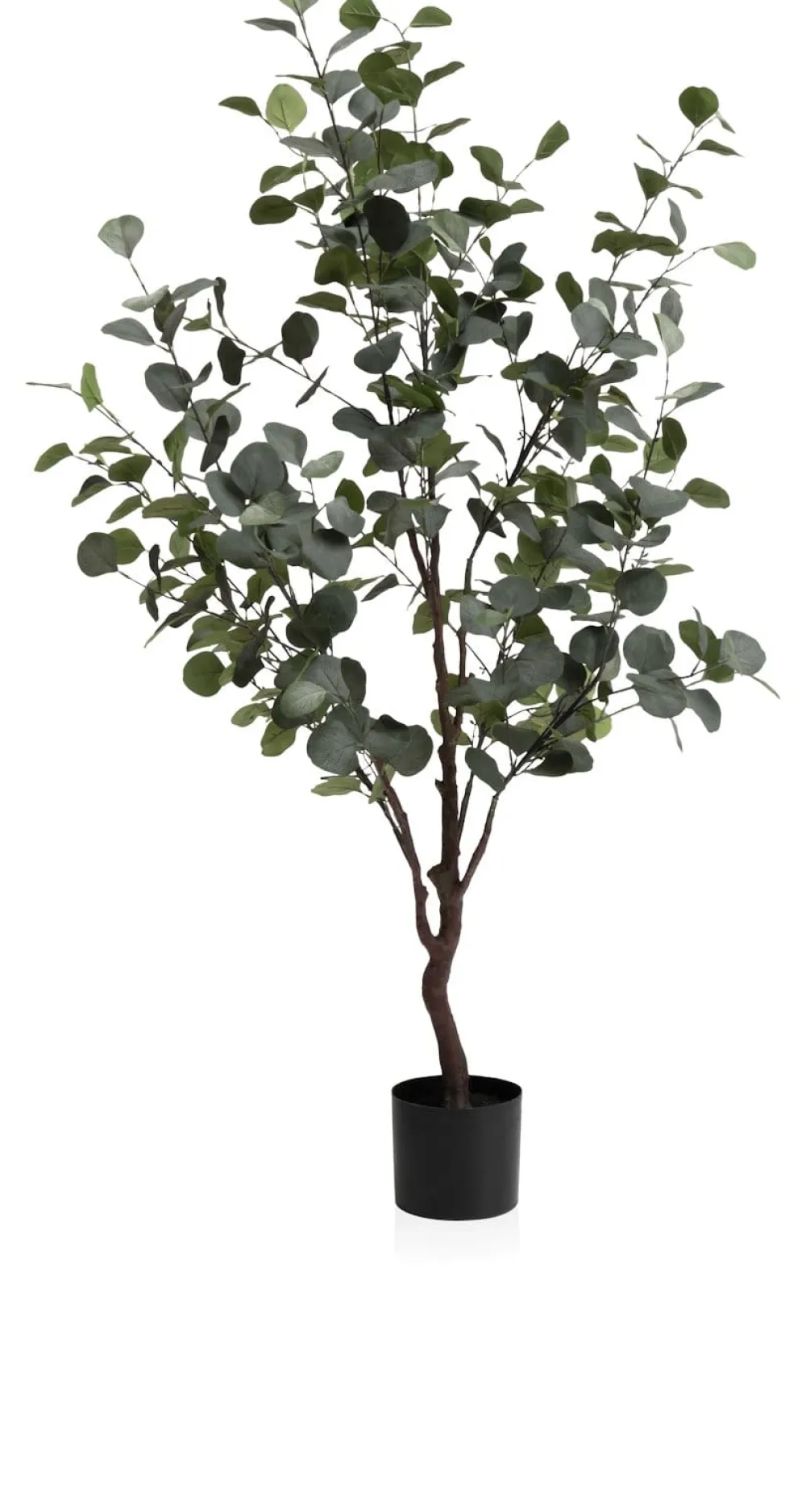 COCOmaison Kunstbloemen En -Planten>Eucalyptus Tree kunstplant H140cm - Groen
