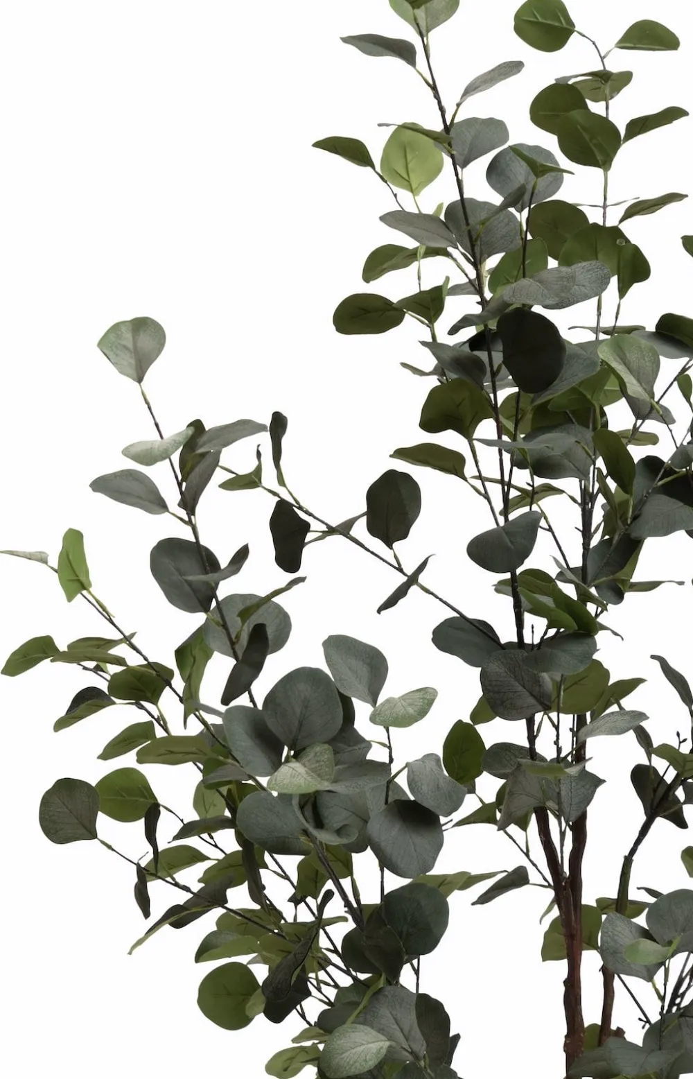 COCOmaison Kunstbloemen En -Planten>Eucalyptus Tree kunstplant H140cm - Groen