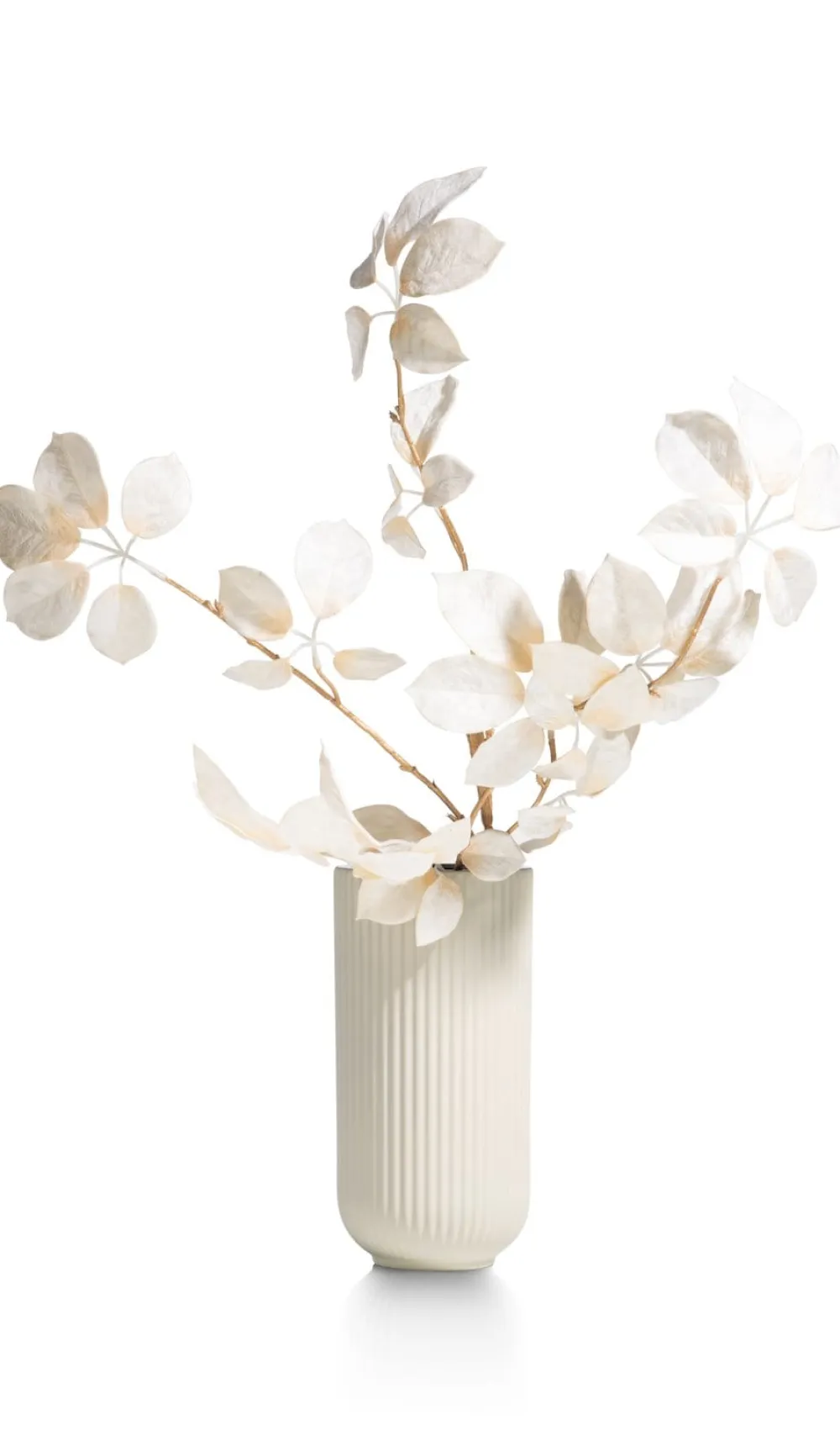 COCOmaison Vazen>Haley vaas H24cm - Wit