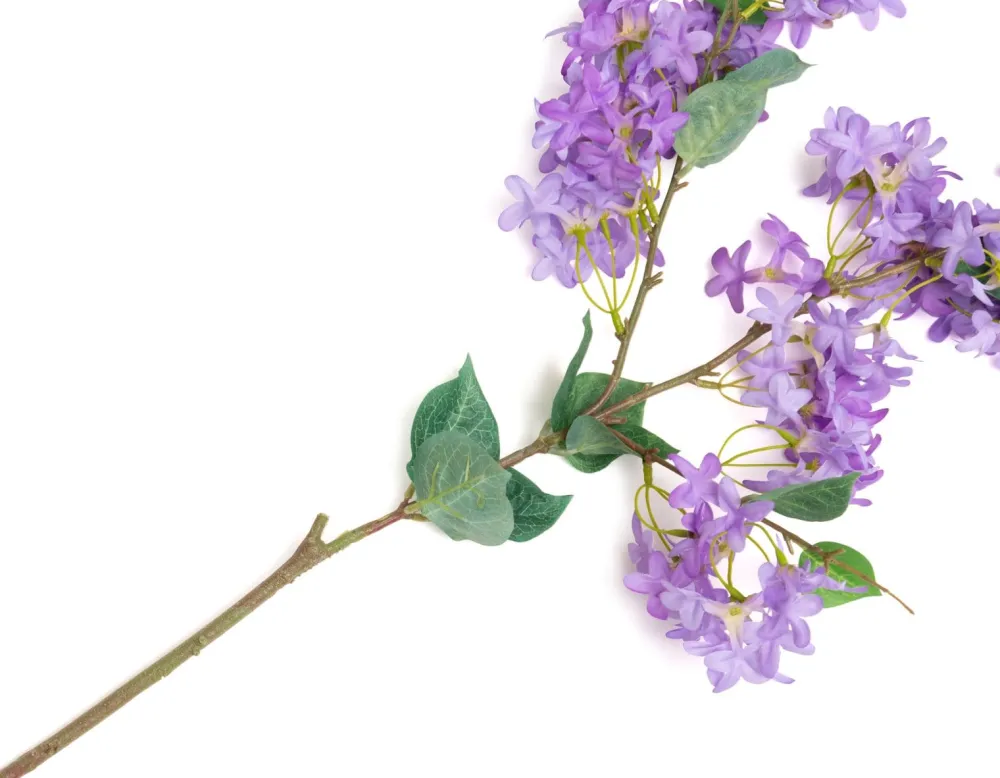 COCOmaison Kunstbloemen En -Planten>Jasmin Branch kunstbloem H115cm - Paars