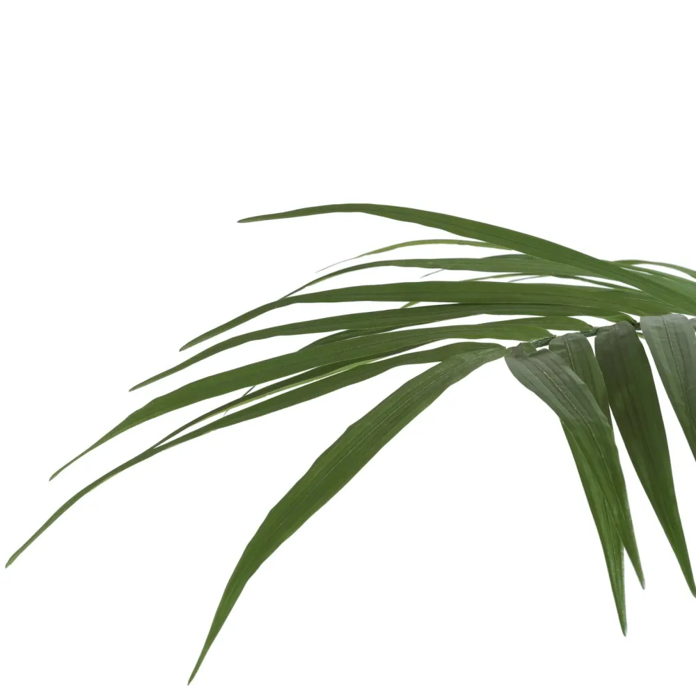 COCOmaison Kunstbloemen En -Planten>Kentia Palm plant H210cm - Groen
