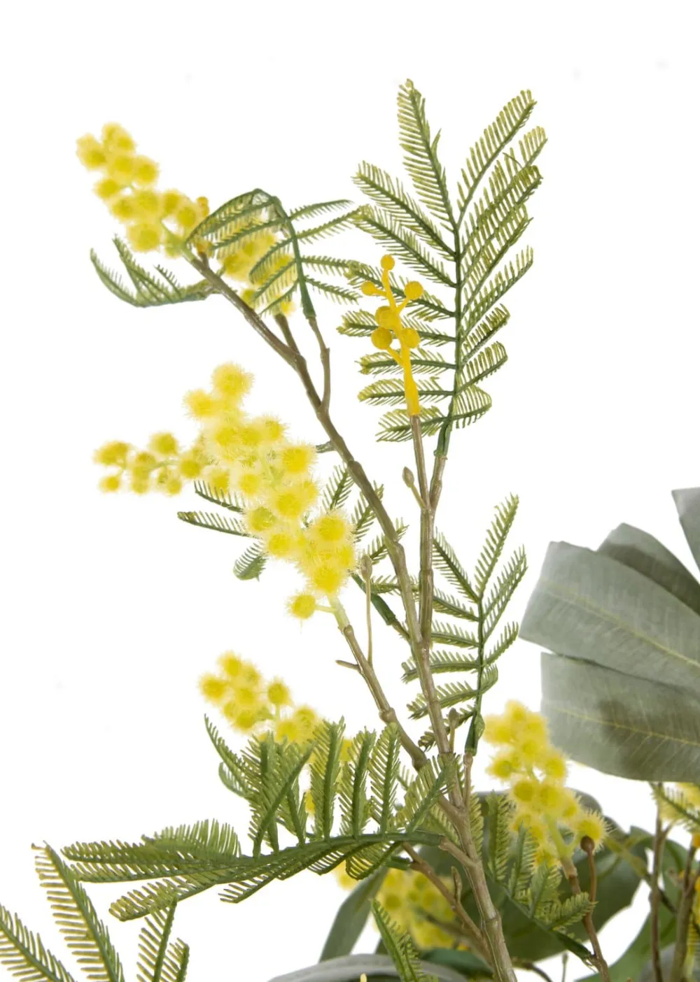 COCOmaison Kunstbloemen En -Planten>Mimosa Branch H110cm kunstbloem - Geel