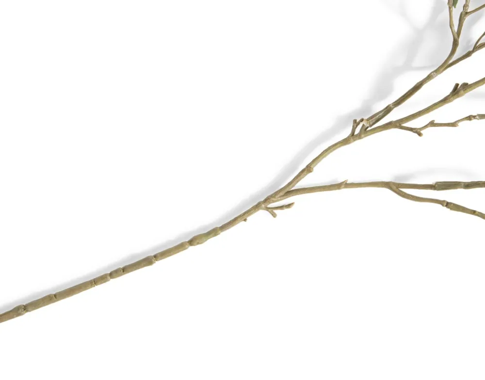 COCOmaison Kunstbloemen En -Planten>Olive Leaf Spray H82cm kunstbloem - Groen