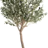 COCOmaison Kunstbloemen En -Planten>Olive Tree H180cm kunstplant - Groen