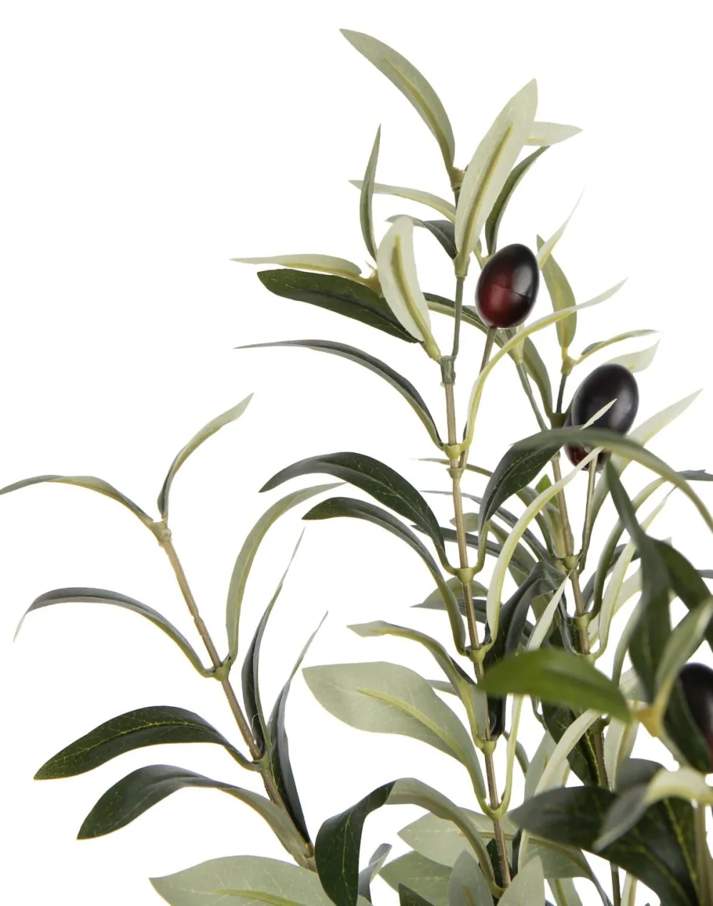 COCOmaison Kunstbloemen En -Planten>Olive Tree H180cm kunstplant - Groen