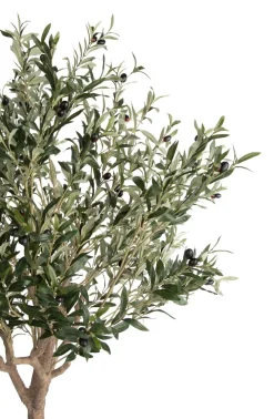 COCOmaison Kunstbloemen En -Planten>Olive Tree H180cm kunstplant - Groen