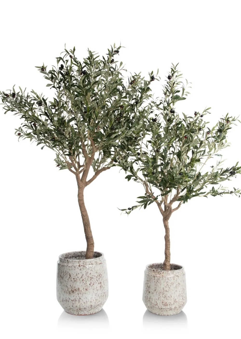 COCOmaison Kunstbloemen En -Planten>Olive Tree H180cm kunstplant - Groen