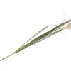 COCOmaison Kunstbloemen En -Planten>Pampus Grass kunstbloem H120cm - Groen