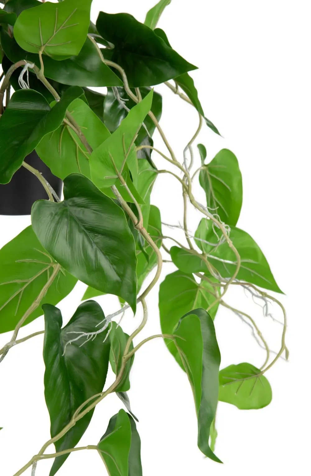 COCOmaison Kunstbloemen En -Planten>Philodendron Scandens H80cm kunstplant - Groen