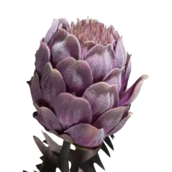 COCOmaison Kunstbloemen En -Planten>Protea Spray H63cm - Paars