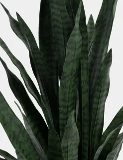 COCOmaison Kunstbloemen En -Planten>Sansevieria kunstplant H115cm - Groen