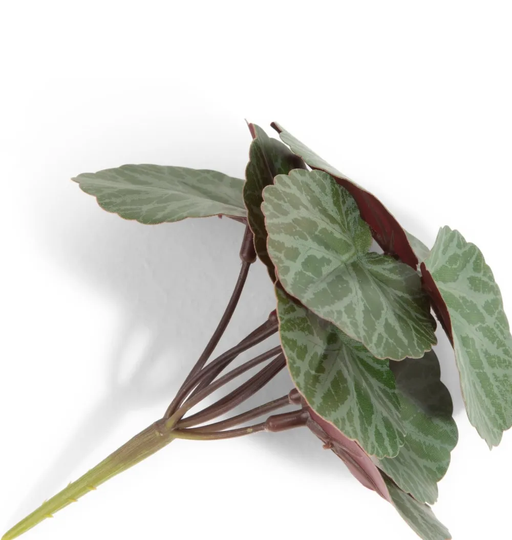 COCOmaison Kunstbloemen En -Planten>Saxifrage Mini Bush H13cm kunstbloem - Groen