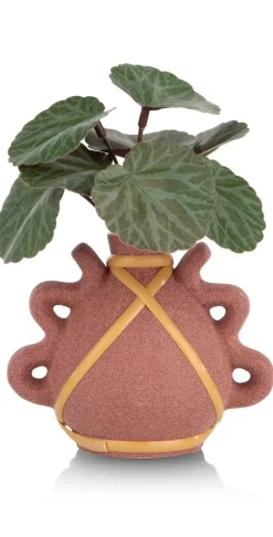 COCOmaison Kunstbloemen En -Planten>Saxifrage Mini Bush H13cm kunstbloem - Groen