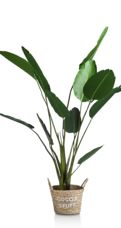 COCOmaison Kunstbloemen En -Planten>Strelitzia Nicolai H150cm - Groen