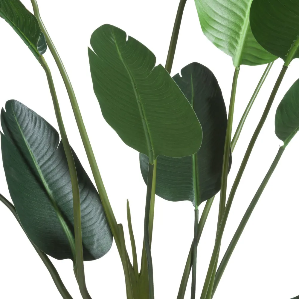 COCOmaison Kunstbloemen En -Planten>Strelitzia Nicolai H150cm - Groen